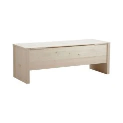 Aubry Gaspard Coffre De Rangement En Bois Brut.