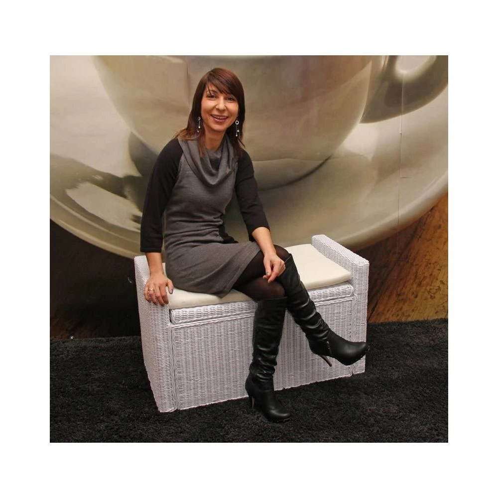 Mendler Coffre De Stockage, Banquette M92 Rotin Avec Coussin Kissen 88cm ~ Bla... 4 Mendler Coffre De Stockage, Banquette M92 Rotin Avec Coussin Kissen 88cm ~ Bla... – Image 2