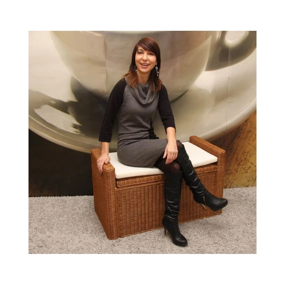 Mendler Coffre De Stockage, Banquette M92 Rotin Avec Coussin Kissen 88cm ~ Dor... 4 Mendler Coffre De Stockage, Banquette M92 Rotin Avec Coussin Kissen 88cm ~ Dor... – Image 2