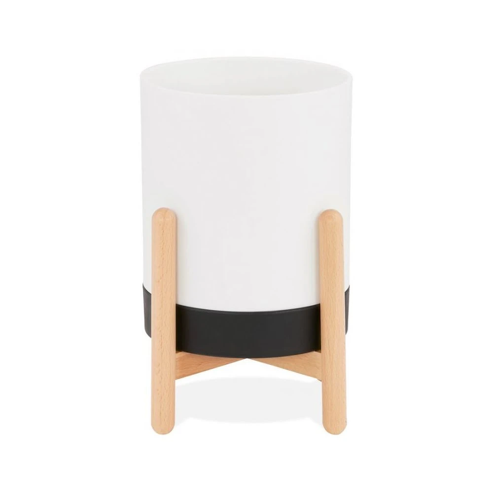 Kokoon Design Pot De Fleur ZINNIA BLANC 4 Kokoon Design Pot De Fleur ZINNIA BLANC – Image 2