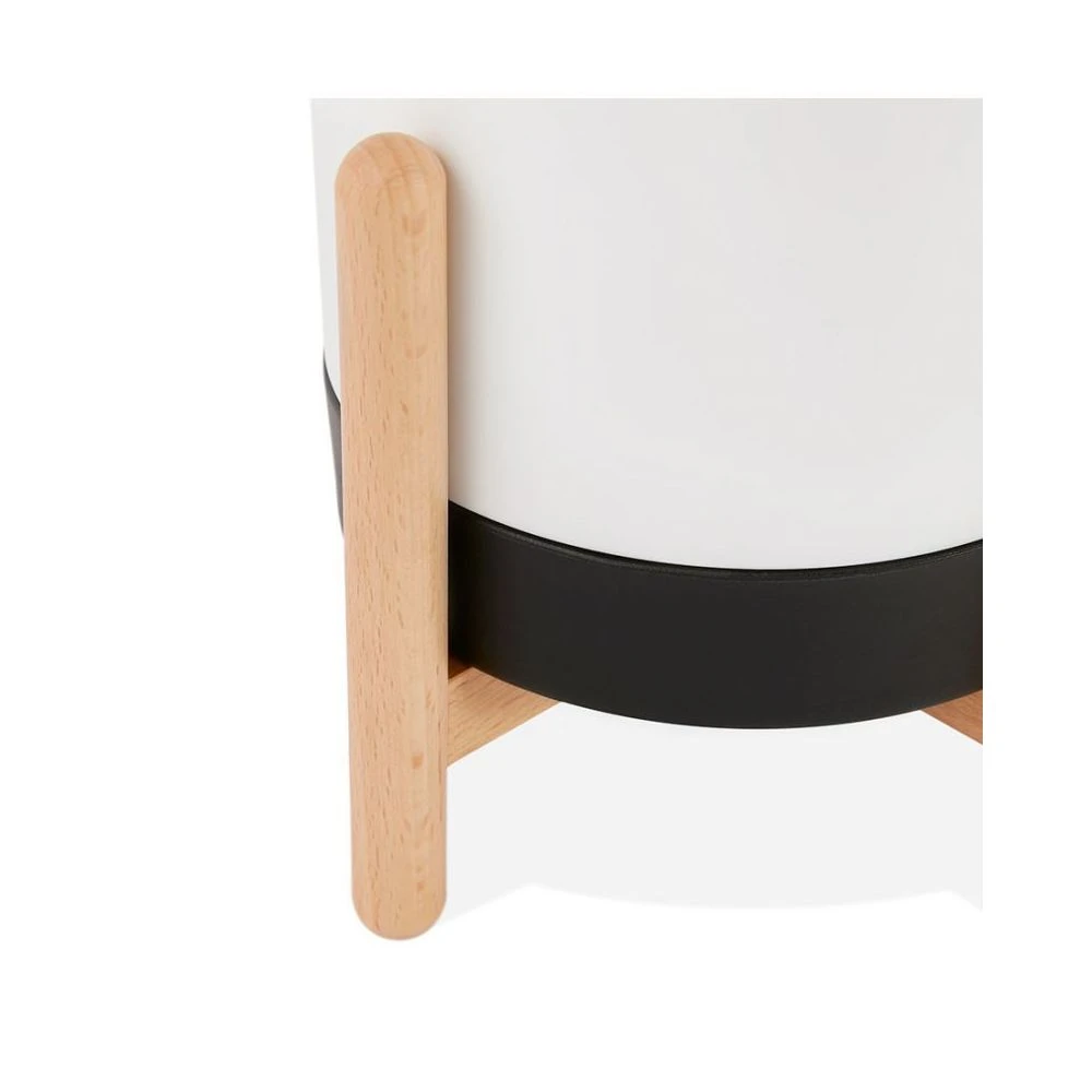 Kokoon Design Pot De Fleur ZINNIA BLANC 6 Kokoon Design Pot De Fleur ZINNIA BLANC – Image 4