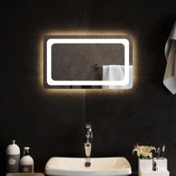 VidaXL Miroir De Salle De Bain à LED 50x30 Cm